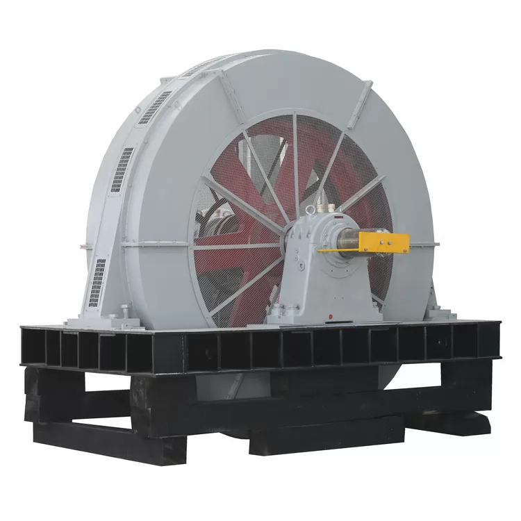 Large Synchronous Excitation Electric Motor